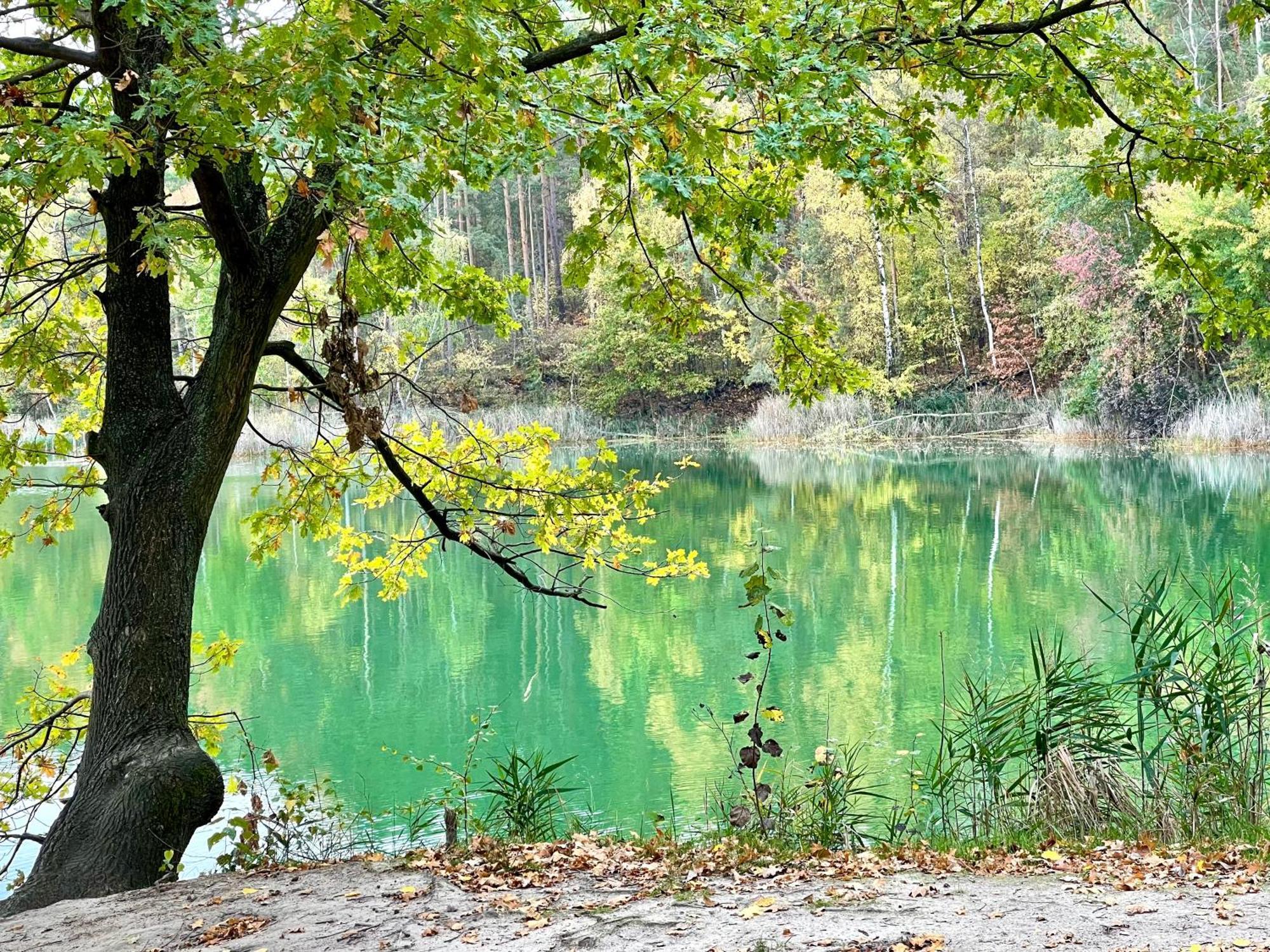 Igelnest Grossthiemig Daire Dış mekan fotoğraf